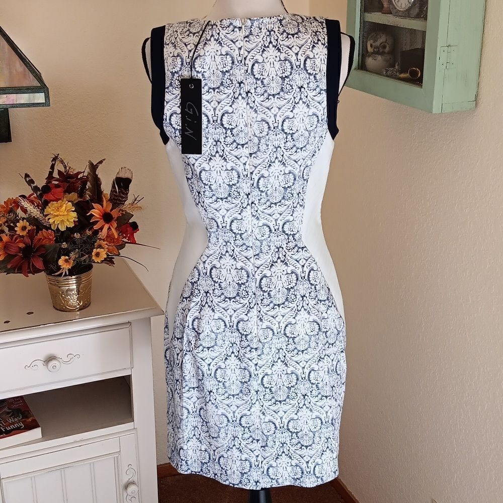 G.I.N Colorblock Dress - Picture 6 of 11